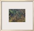 Rochers Et Branches À Bibémus. Carrière De Pierre Aux Environs D'aix En Provence by Paul Cézanne Limited Edition Pricing Art Print