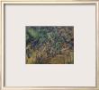 Rochers Et Branches A Bibemus. Carriere De Pierre Aux Environs D'aix En Provence by Paul Cezanne Limited Edition Print