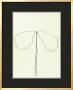 Dog, C.1964 by Ellsworth Kelly Limited Edition Pricing Art Print