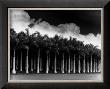 White Palms, Costa Rica by Monte Nagler Limited Edition Print