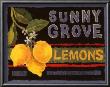 Lemon Crate Label by Nancy Overton Limited Edition Pricing Art Print