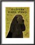 American Cocker Spaniel Ii by John Golden Limited Edition Print