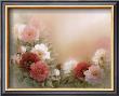 Blooming Peonies by T. C. Chiu Limited Edition Print
