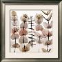 Eucalypti Ii by Steven Meyers Limited Edition Print
