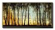 Golden Forest by Carolyn Reynolds Limited Edition Print