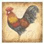 Provincial Rooster I by Robin Davis Limited Edition Print