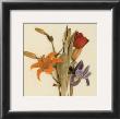 Tre Fiori Iii by Amy Melious Limited Edition Print