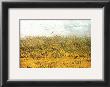 The Wheat Field by Vincent Van Gogh Limited Edition Print