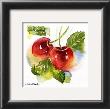 Cherry by Andrea Brooks Limited Edition Pricing Art Print