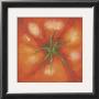 Top Of A Tomato by Klaus Gohlke Limited Edition Pricing Art Print