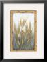 Wheat Grasses by Tina Chaden Limited Edition Pricing Art Print