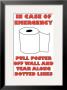 In Case Of Emergency Ii by Russ Lachanse Limited Edition Print