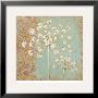 Paisley Bloom by Stefania Ferri Limited Edition Print