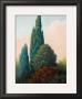 Tuscan Trees I by Alan Stephenson Limited Edition Print