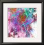 Fractalis by Jean-Francois Dupuis Limited Edition Pricing Art Print