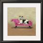Italian Greyhound On Pink by Carol Dillon Limited Edition Pricing Art Print