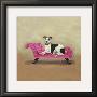 Italian Greyhound On Pink by Carol Dillon Limited Edition Print