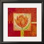 Carre De Fleur Iii by Sylvi Pasquier Limited Edition Print