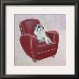 Bulldog On Red by Carol Dillon Limited Edition Pricing Art Print