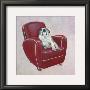 Bulldog On Red by Carol Dillon Limited Edition Print