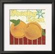 Peachy Keen by Chariklia Zarris Limited Edition Print