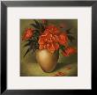 Traditional Coral Blooms I by Judy Kaufman Limited Edition Print