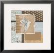 Shell Collage Iii by Carol Robinson Limited Edition Pricing Art Print