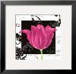 Damask Tulip Iv by Pamela Gladding Limited Edition Print
