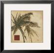 Sepia Palm Ii by Patricia Quintero-Pinto Limited Edition Print