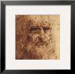 Self Portrait (Detail) by Leonardo Da Vinci Limited Edition Print