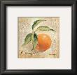 L'orange by Silvia Vassileva Limited Edition Print