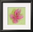 Lily by Anthony Morrow Limited Edition Pricing Art Print