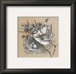 Fauvettes by Pascal Cessou Limited Edition Pricing Art Print
