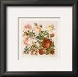 Buisson De Roses Iv by Laurence David Limited Edition Pricing Art Print