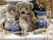 9-Week, Blue Bicolour Persian Kitten, Brindle Teddy Bear And Victorian Staffordshire Wash-Stand Set by Jane Burton Limited Edition Print