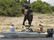 Tourists Watching African Elephants, From Boat, Chobe National Park, Botswana, Africa by Tony Heald Limited Edition Print