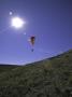 Paragliding, Usa by Michael Brown Limited Edition Pricing Art Print