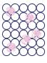 Pink Rose by Avalisa Limited Edition Pricing Art Print