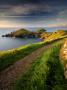 Footpath Along The Rumps, Pentire Point, Near Polzeath, Cornwall, Uk by Ross Hoddinott Limited Edition Print