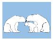 Blue Polar Bears by Avalisa Limited Edition Pricing Art Print