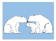 Blue Polar Bears by Avalisa Limited Edition Print