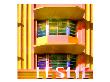 Leslie, Miami by Tosh Limited Edition Print