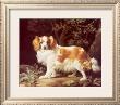 King Charles Spaniel by George Stubbs Limited Edition Print