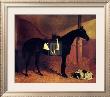 Askar And Roger In A Loose Box by John Frederick Herring I Limited Edition Pricing Art Print