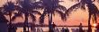 Sunset On The Beach, Miami Beach, Florida, Usa by Panoramic Images Limited Edition Pricing Art Print