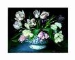 Tulipmania Ii by Galley Limited Edition Print
