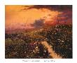 Spring Storm by Thomas De Decker Limited Edition Print