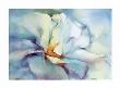 White Rose, 1993 by Mira M. White Limited Edition Pricing Art Print