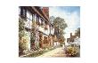 Promenade Of Flowers by Thelma Leaney Butler Limited Edition Print