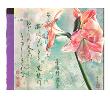 Amaryllis Rosa by Maya Nishiyama Limited Edition Print